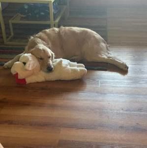 Meet your Posher, Kelli